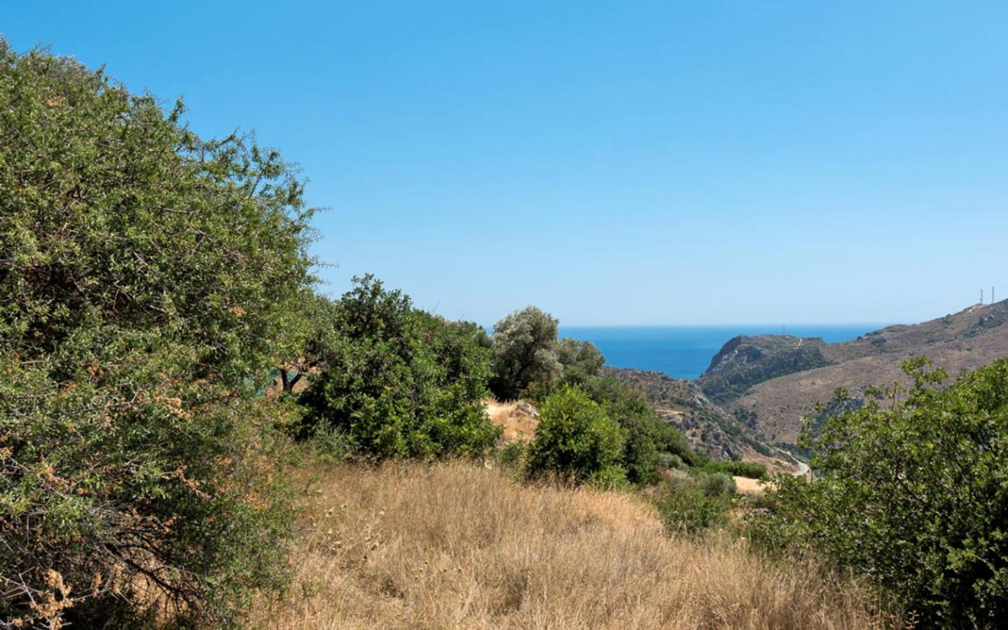 Villa Talos 팔라이오코라 외부 사진